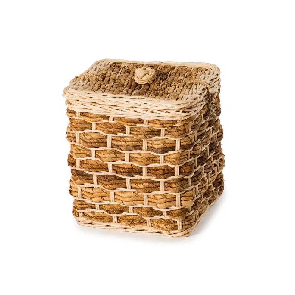 Buttercup Banana Ashes Casket